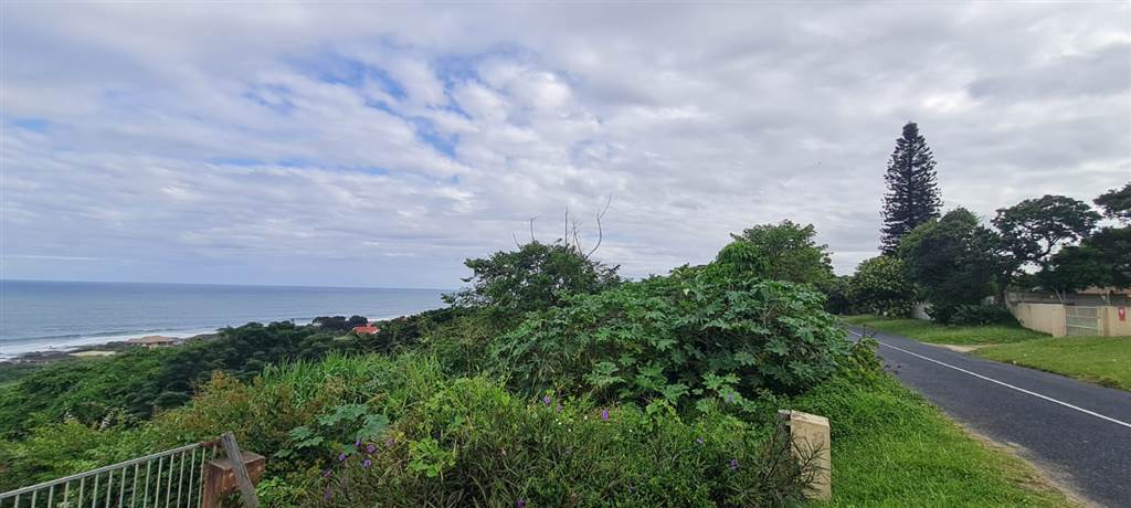 2342 m² Land available in Oslo Beach photo number 8