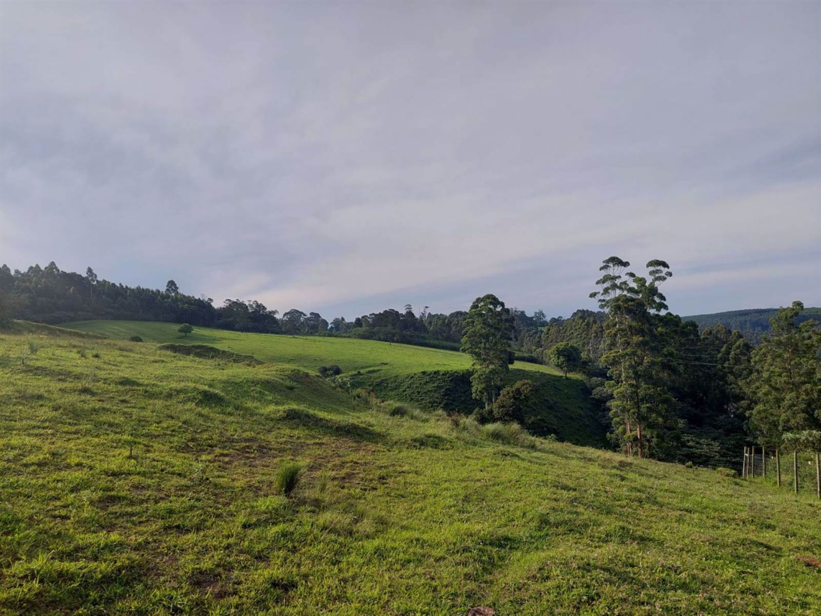 2.9 ha Land available in Worlds View photo number 9