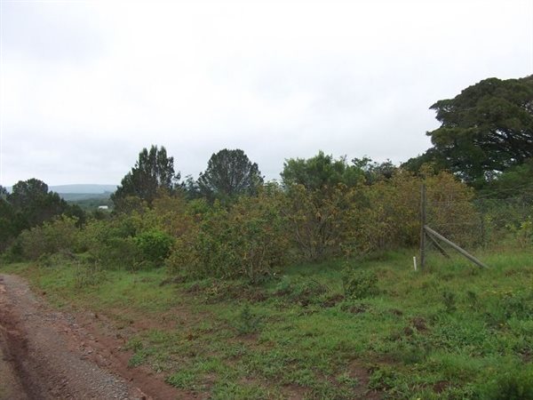 2161 m² Land available in Bathurst and Surrounds