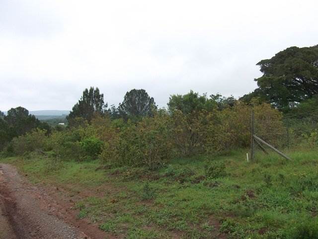 2161 m² Land available in Bathurst and Surrounds photo number 1