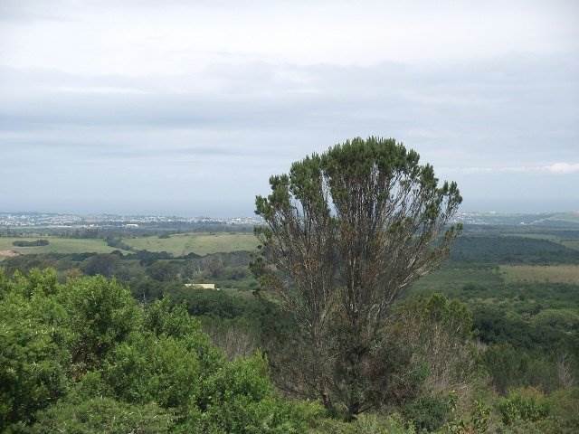 2161 m² Land available in Bathurst and Surrounds photo number 3