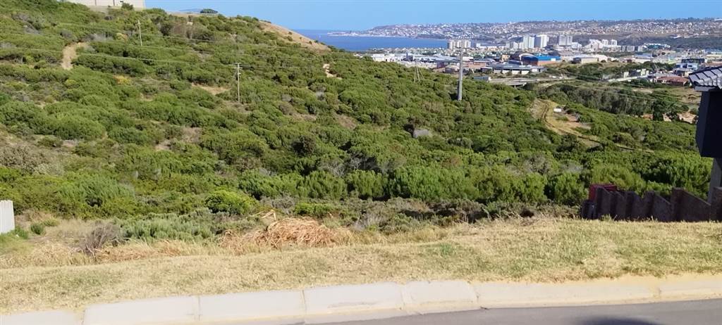 730 m² Land available in Seemeeu Park photo number 11