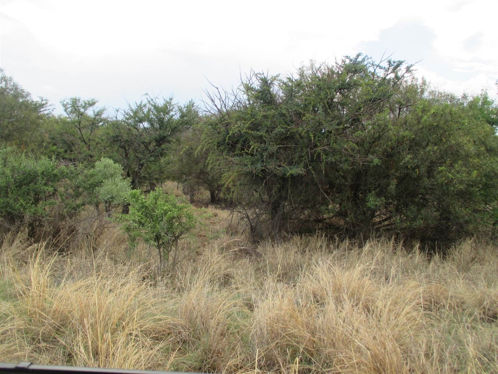 1 ha Land available in Leeuwfontein photo number 1