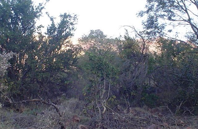 1289 m² Land available in Thabazimbi photo number 3
