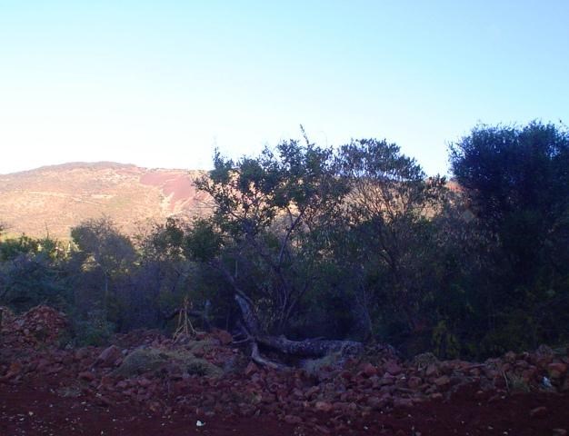 1289 m² Land available in Thabazimbi photo number 1