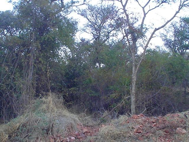 1289 m² Land available in Thabazimbi photo number 4
