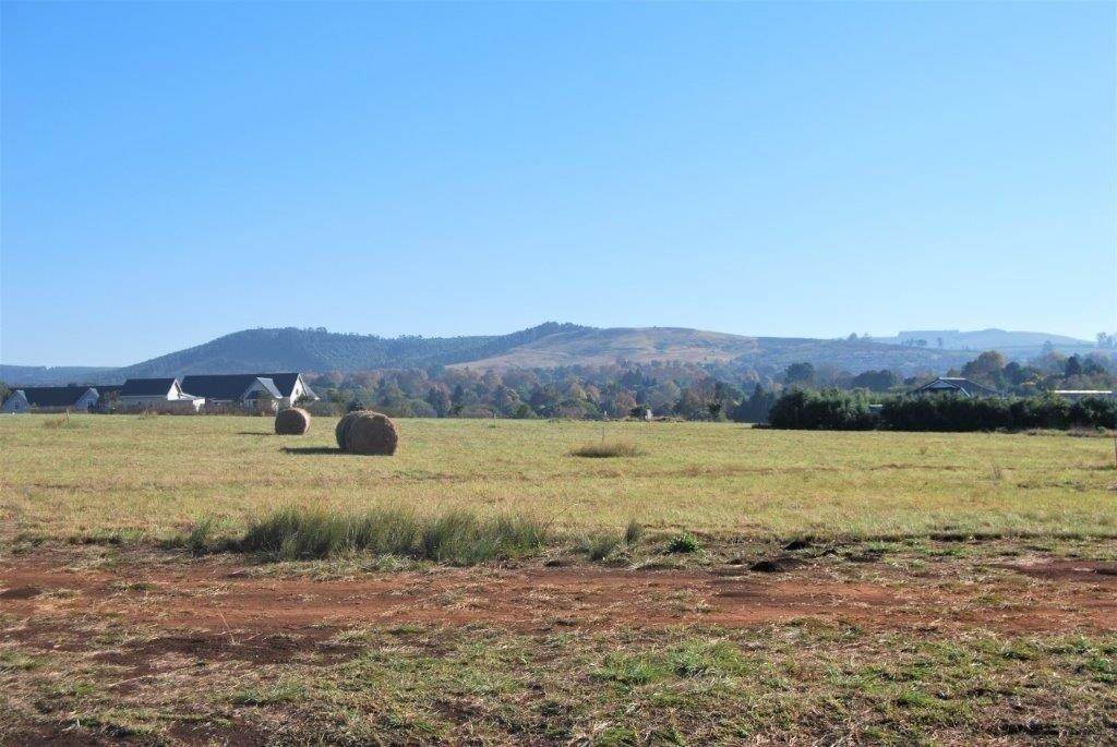 1690 m² Land available in Howick photo number 11