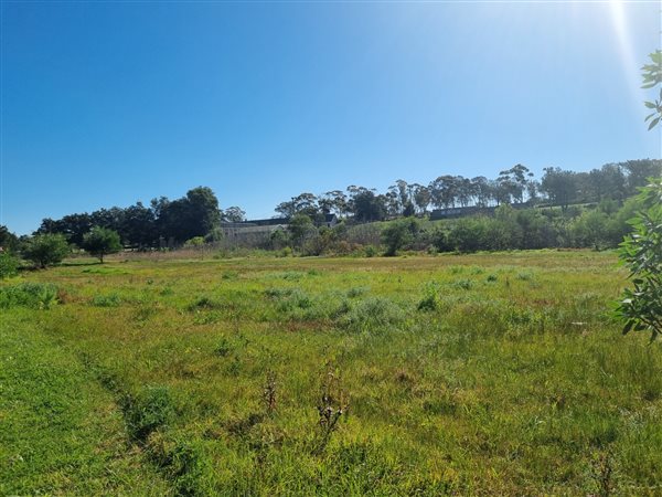 1474 m² Land available in Albertinia