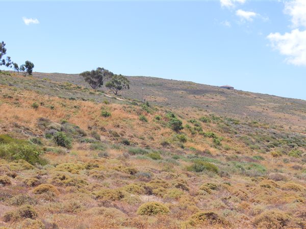 429 m² Land available in St Helena Views
