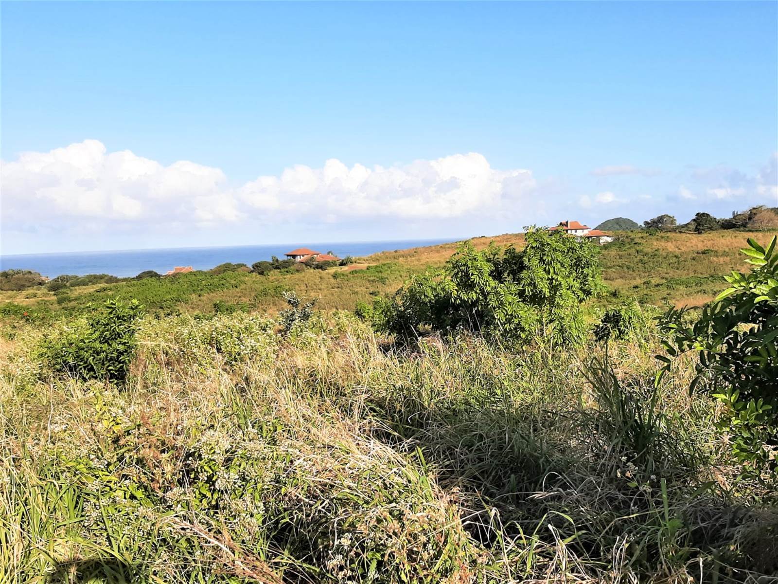 1918 m² Land available in Leisure Bay photo number 8