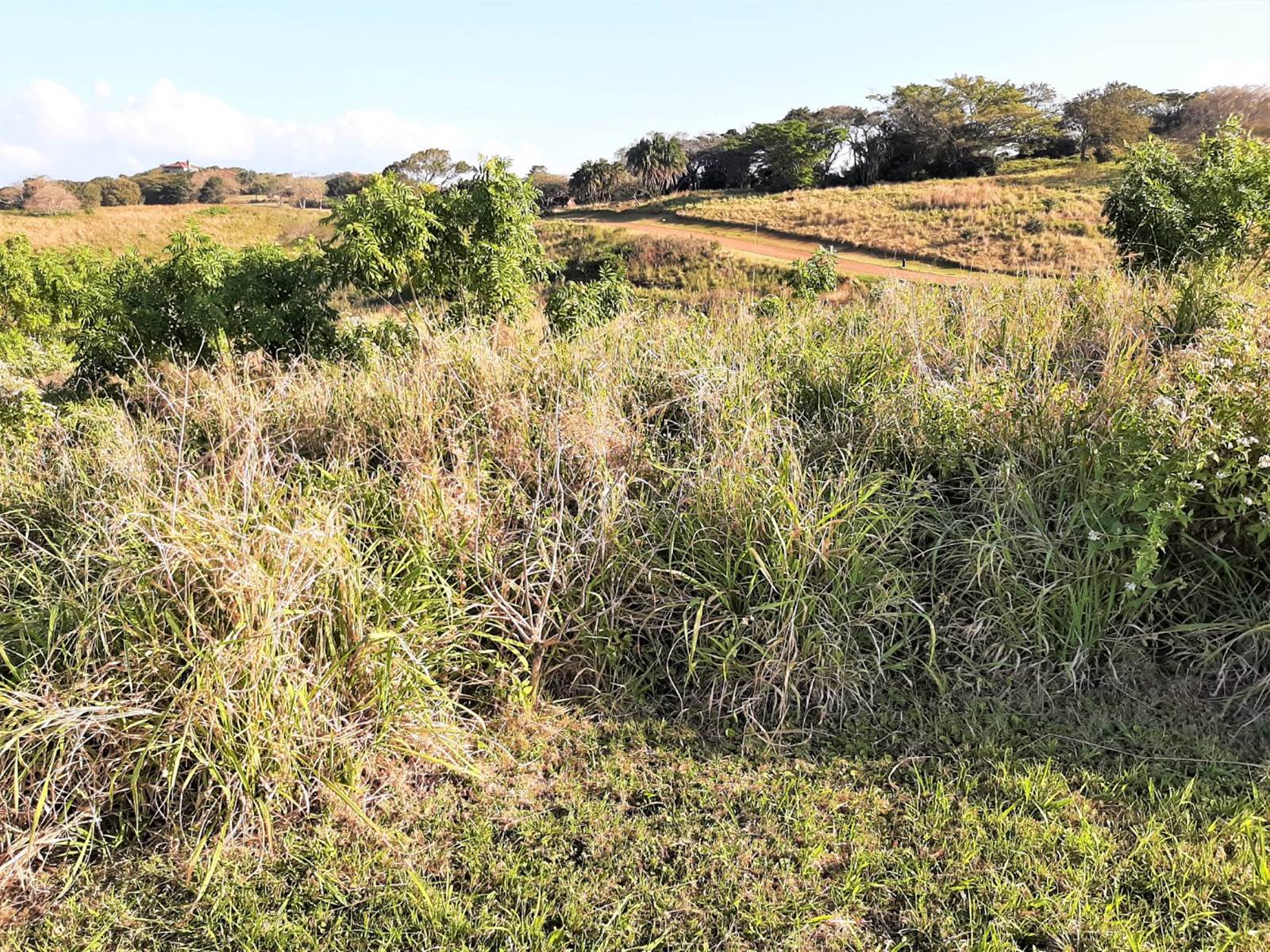 1918 m² Land available in Leisure Bay photo number 13