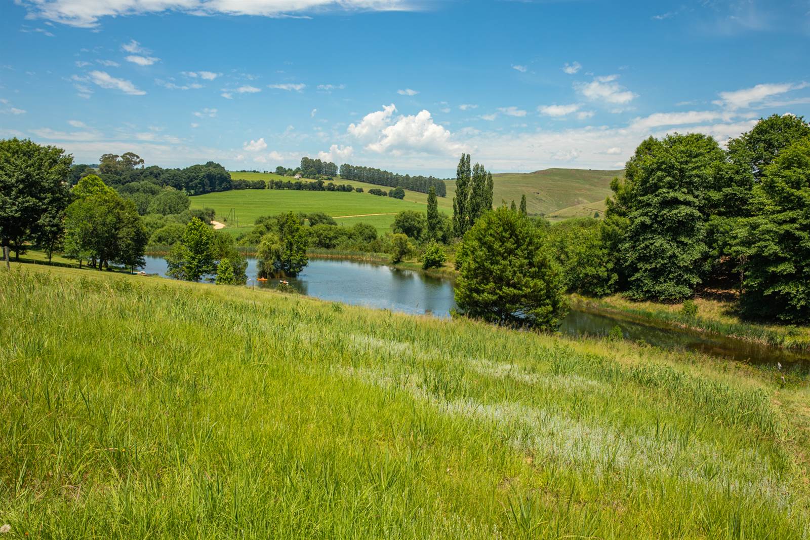 2500 m² Land available in Underberg photo number 12