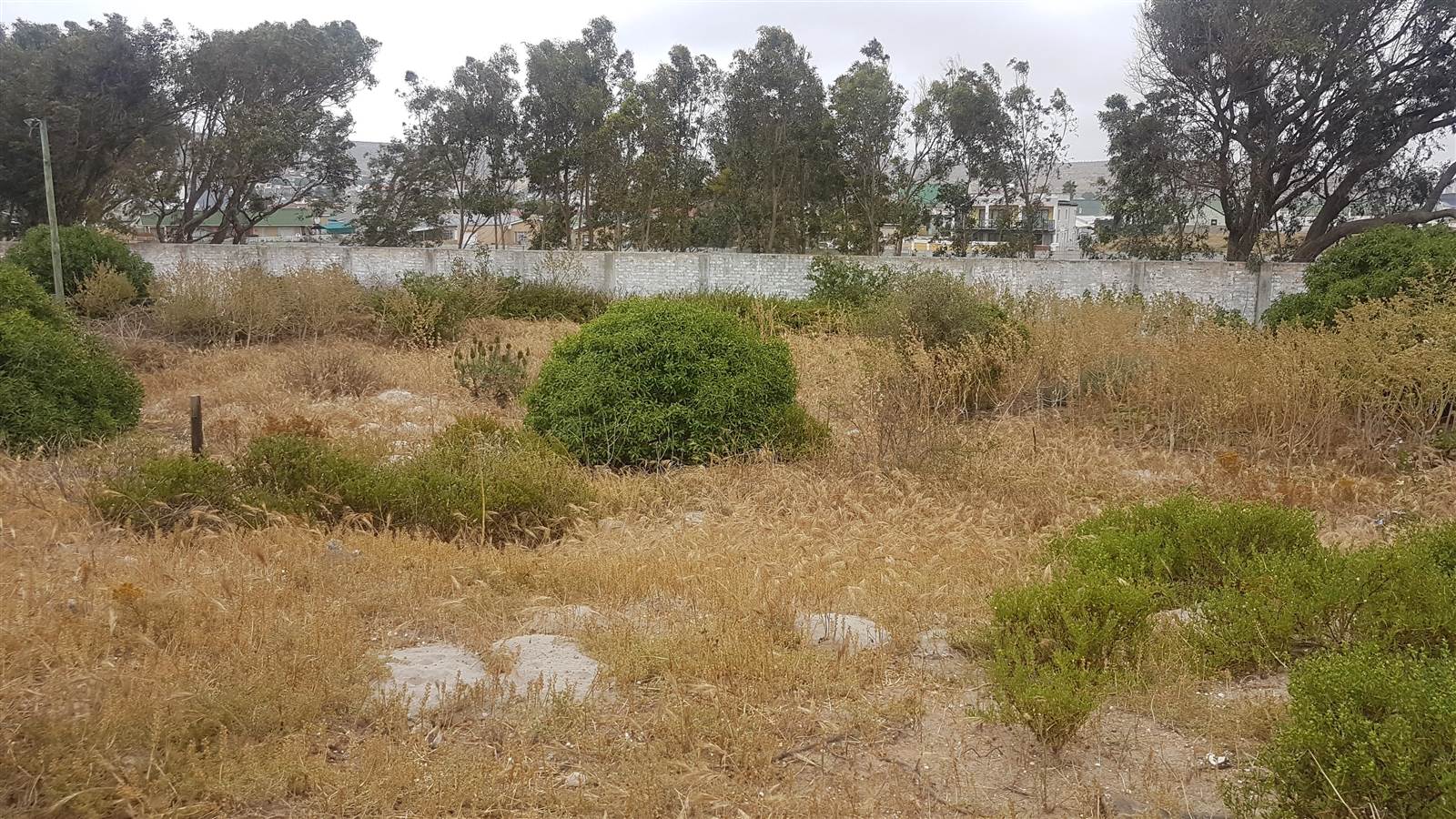 1745 m² Land available in Saldanha photo number 12