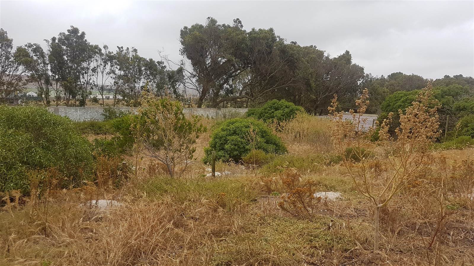 1745 m² Land available in Saldanha photo number 11