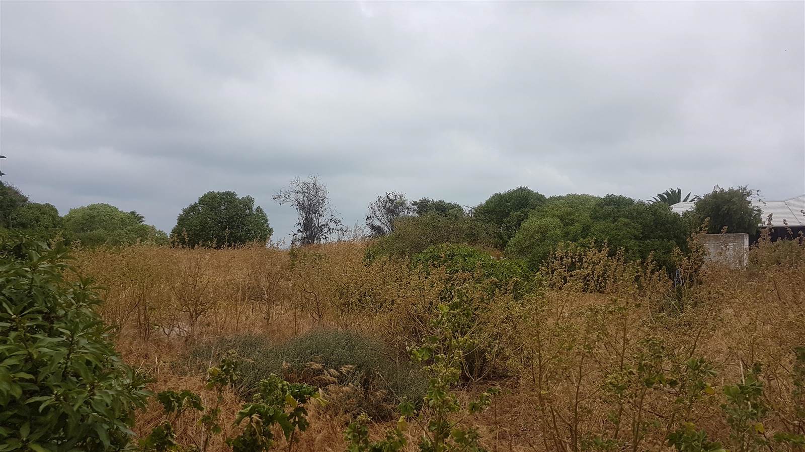 1745 m² Land available in Saldanha photo number 10