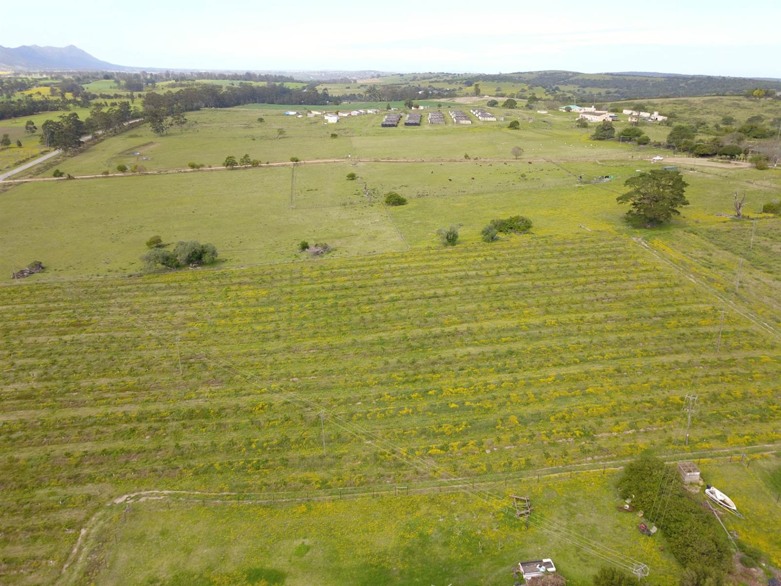 70 ha Farm in Thornhill photo number 7