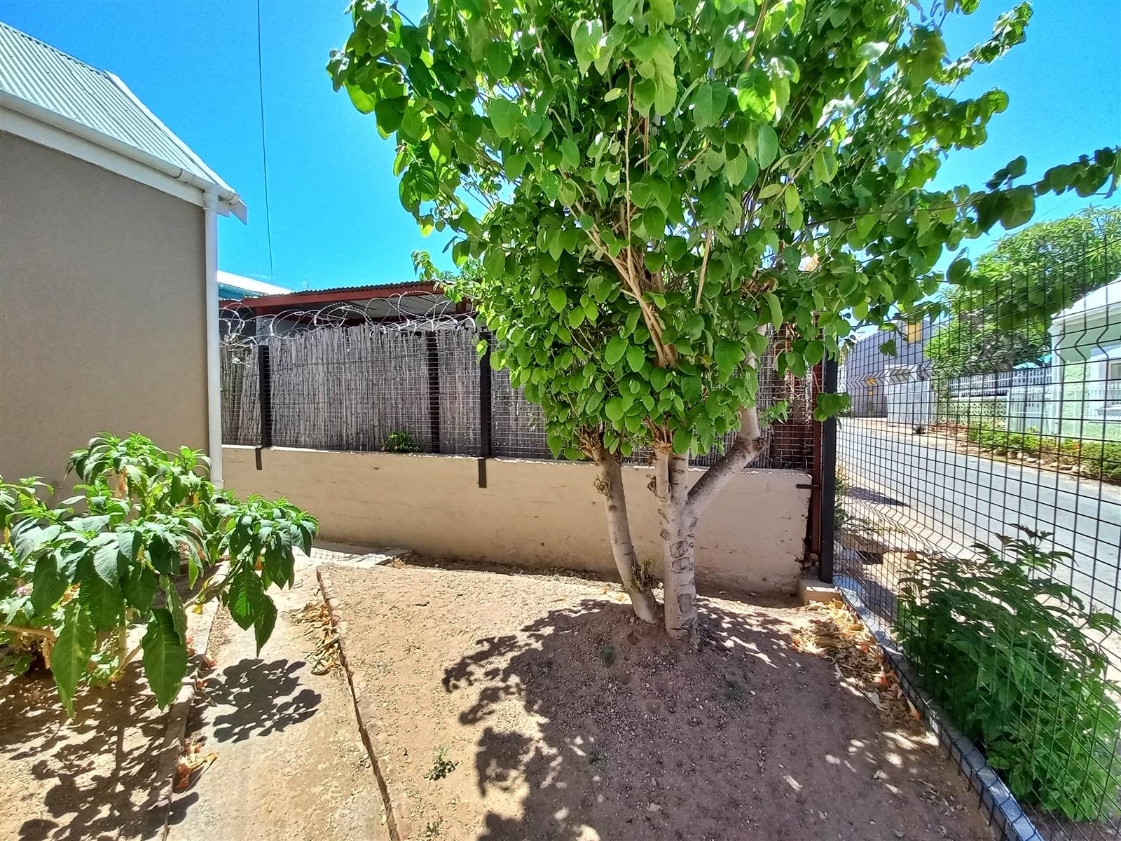 3 Bed House in Calitzdorp photo number 17
