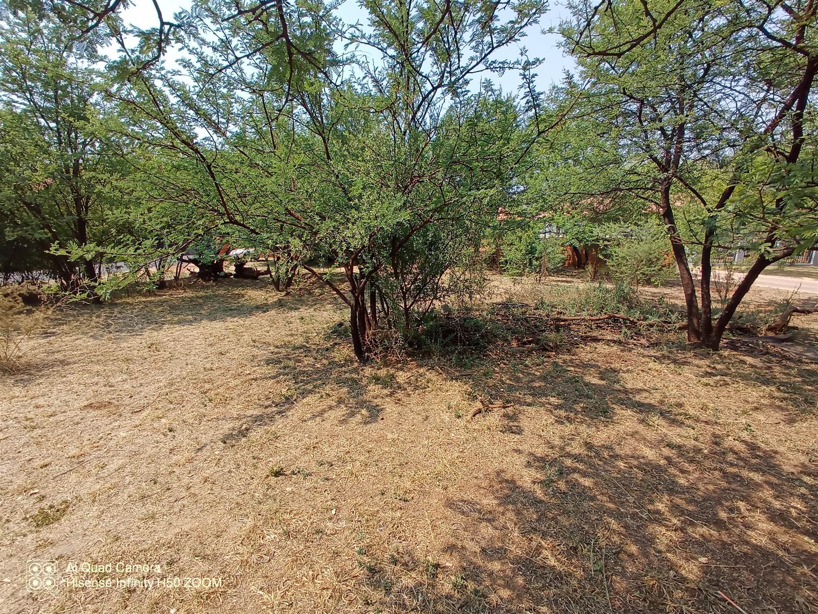 893 m² Land available in Birdwood photo number 4