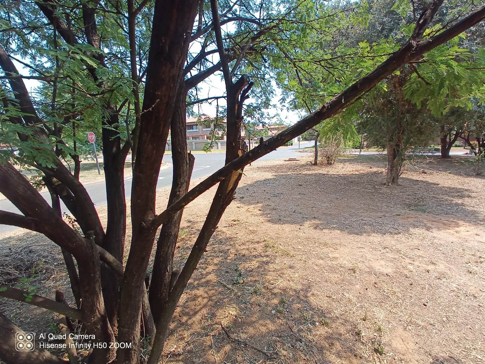 893 m² Land available in Birdwood photo number 6
