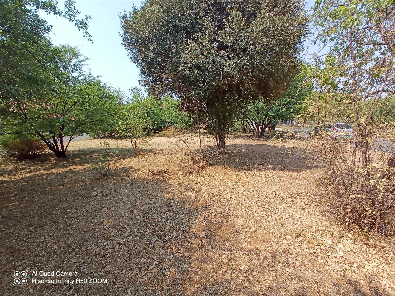 893 m² Land available in Birdwood photo number 1