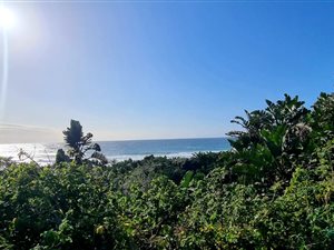 915 m² Land available in Mtwalume