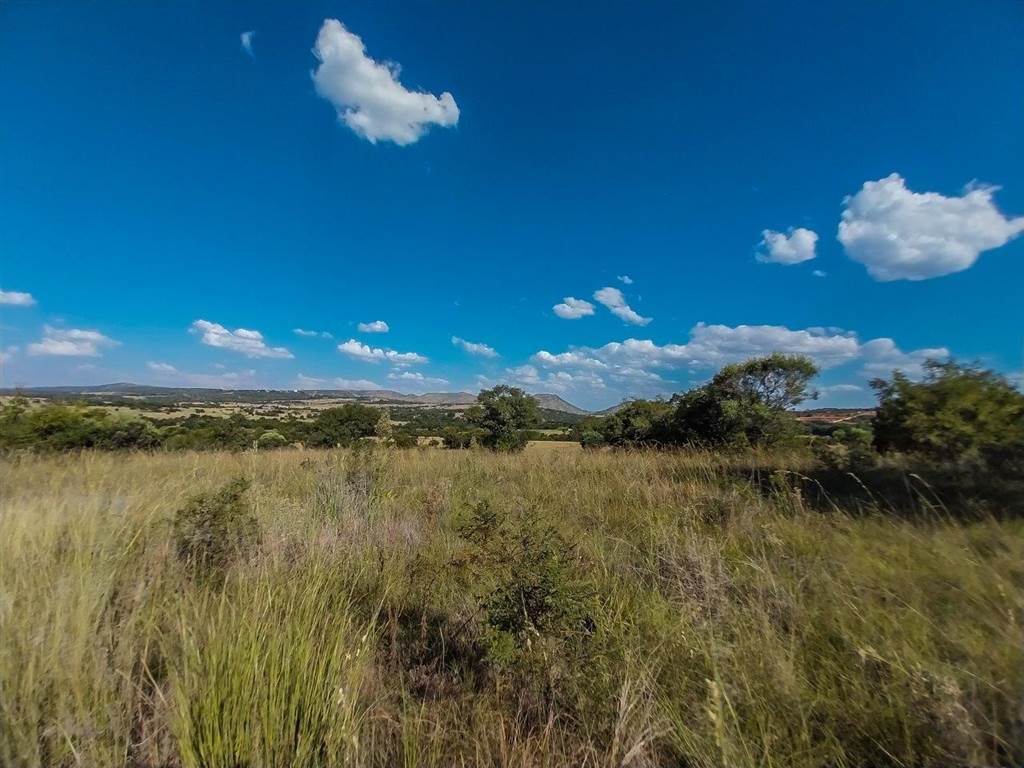 21.5 ha Land available in Broederstroom photo number 5