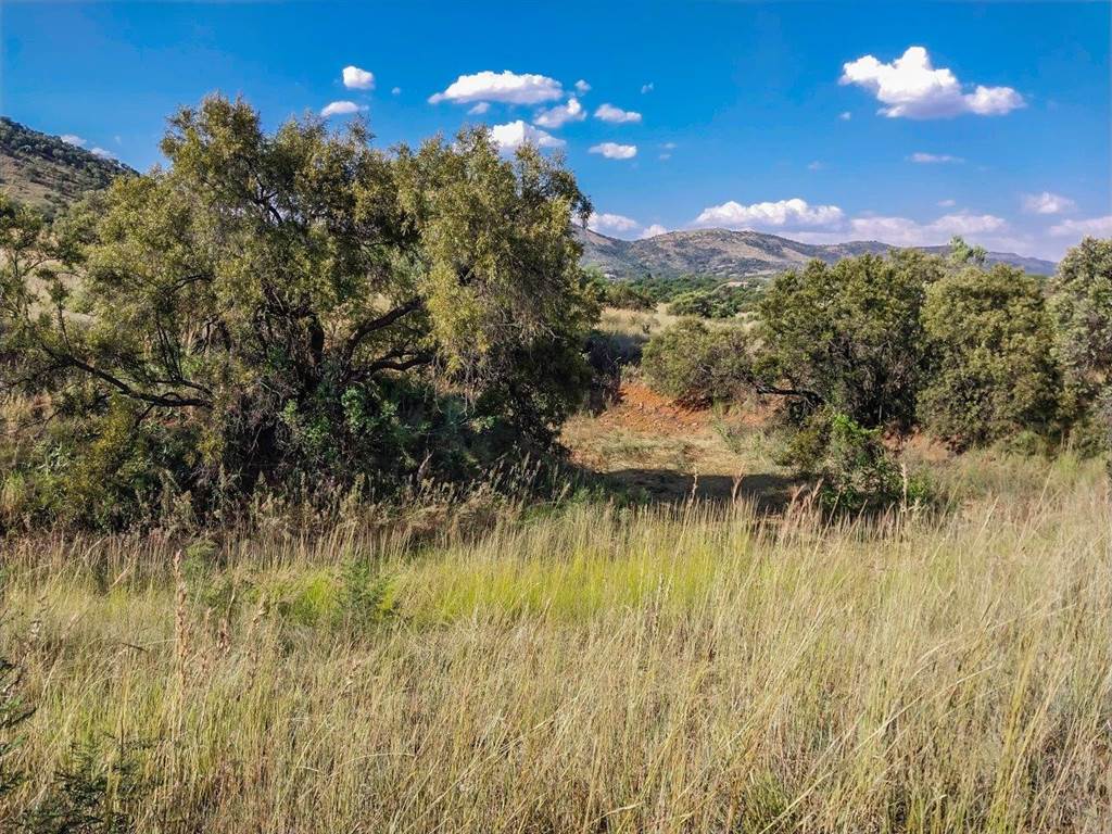 21.5 ha Land available in Broederstroom photo number 19