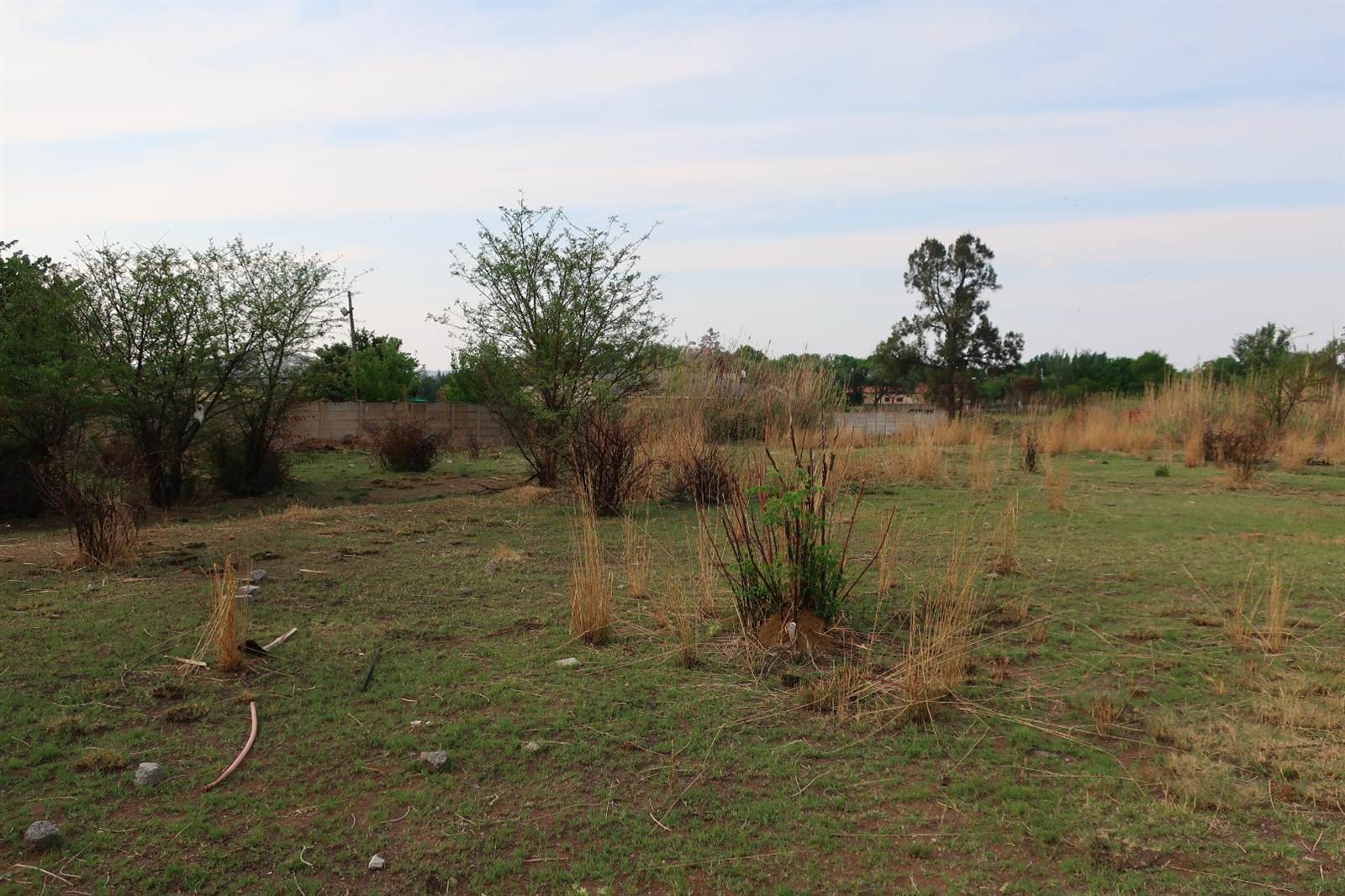 4300 m² Land available in Parys photo number 4