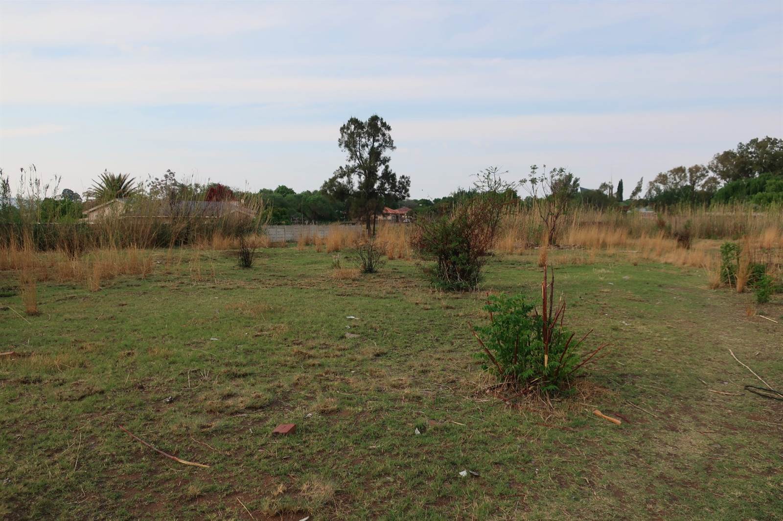 4300 m² Land available in Parys photo number 2