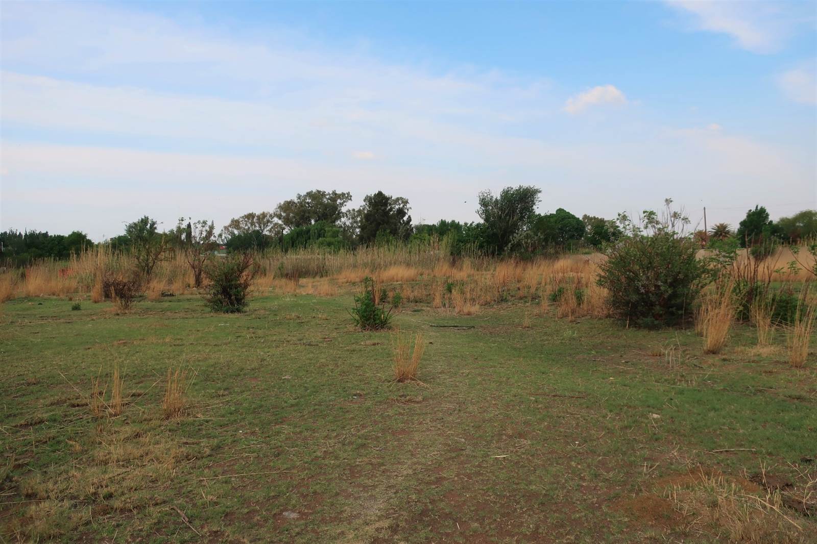 4300 m² Land available in Parys photo number 3