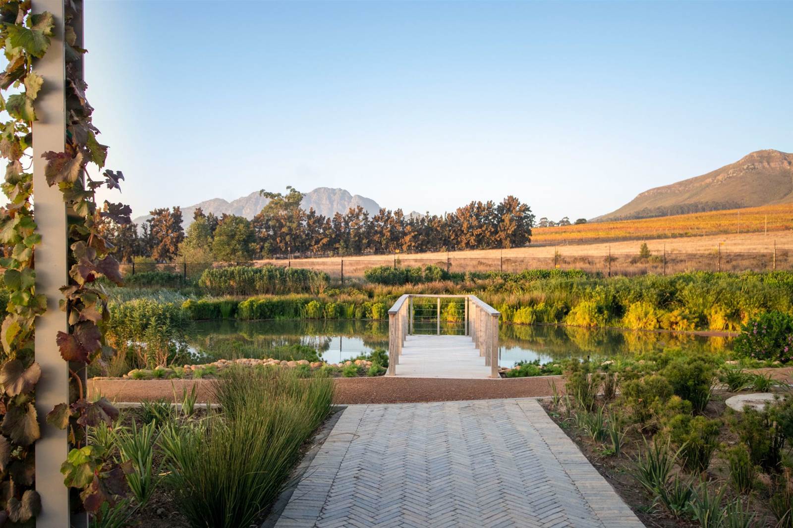 442 m² Land available in Paradyskloof photo number 5
