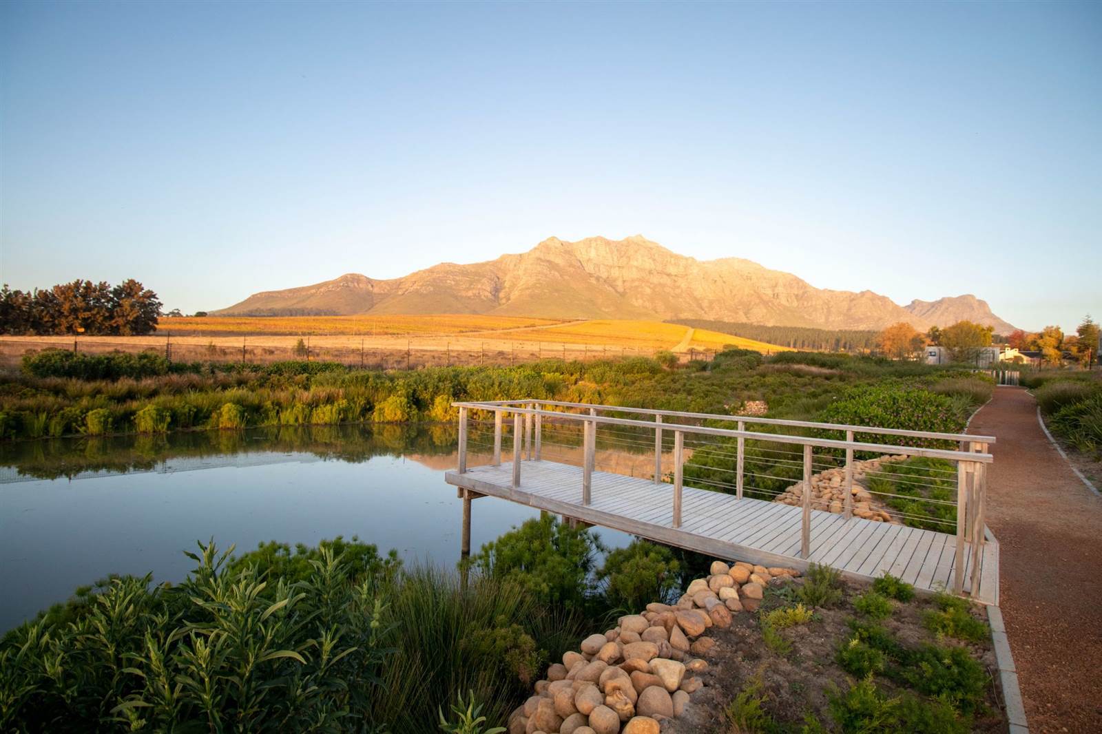 442 m² Land available in Paradyskloof photo number 4