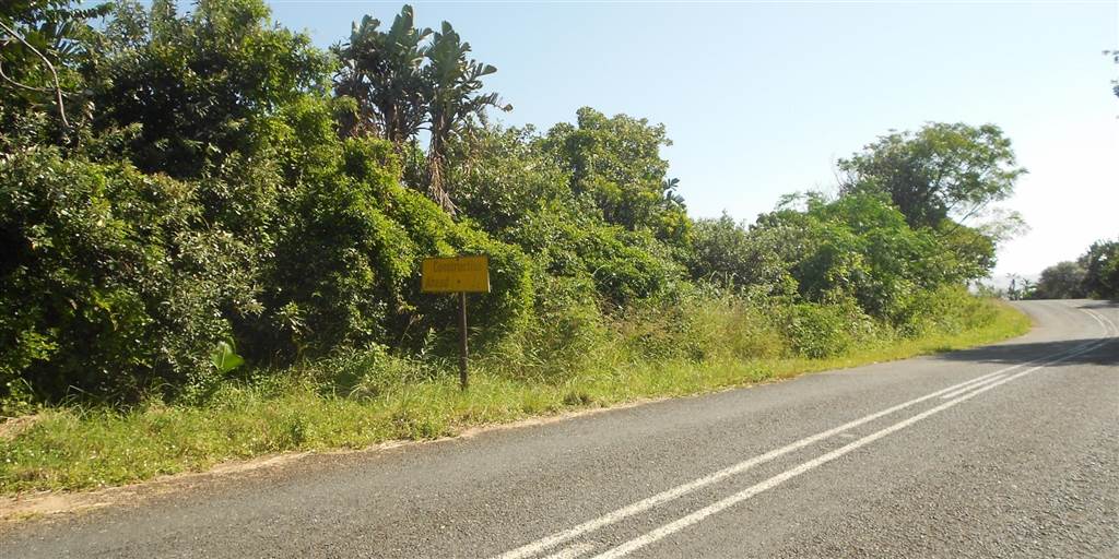 2732 m² Land available in Palm Beach photo number 4
