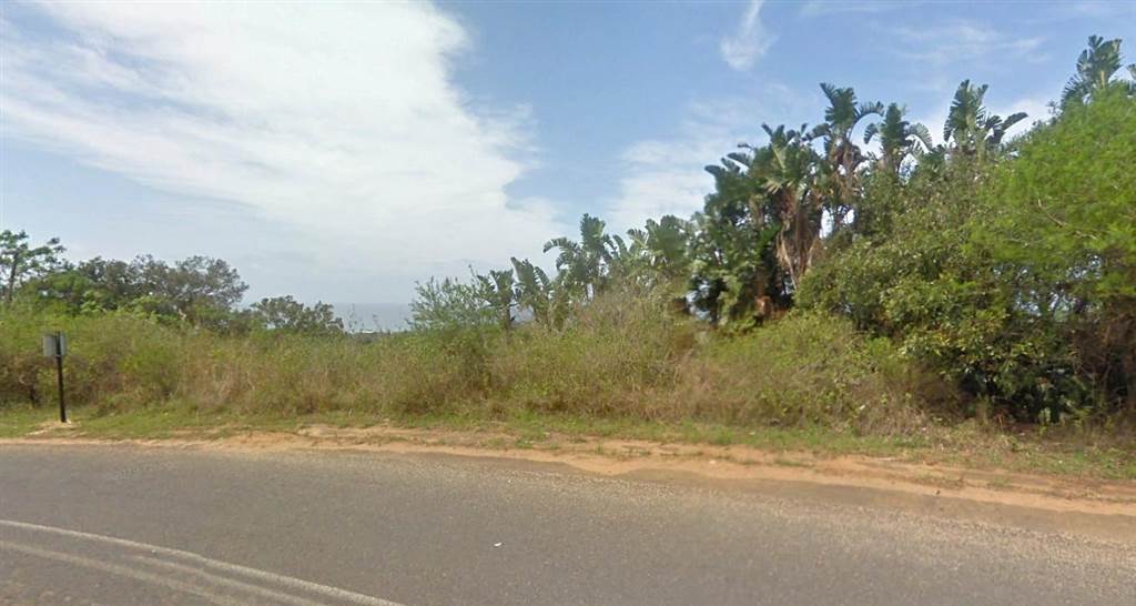 2732 m² Land available in Palm Beach photo number 6