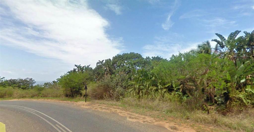 2732 m² Land available in Palm Beach photo number 7