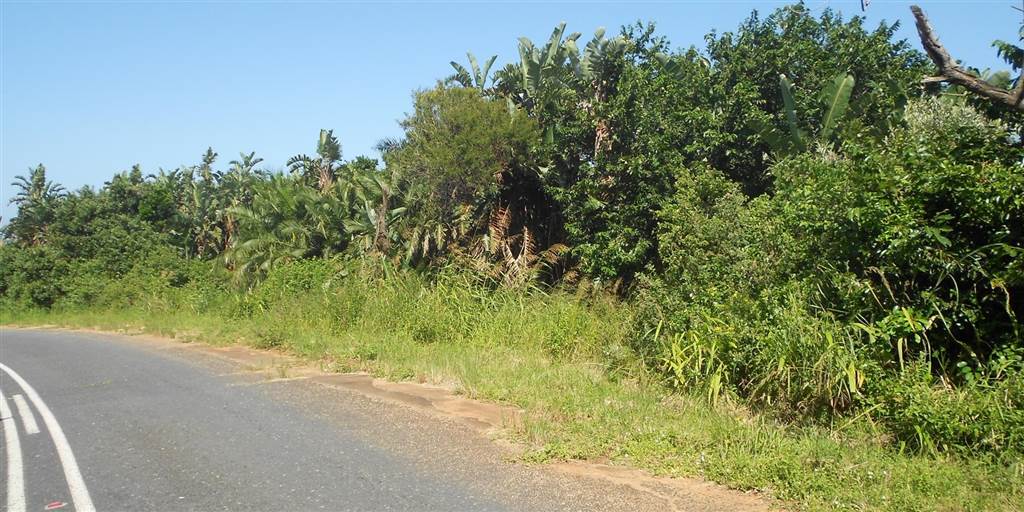 2732 m² Land available in Palm Beach photo number 3
