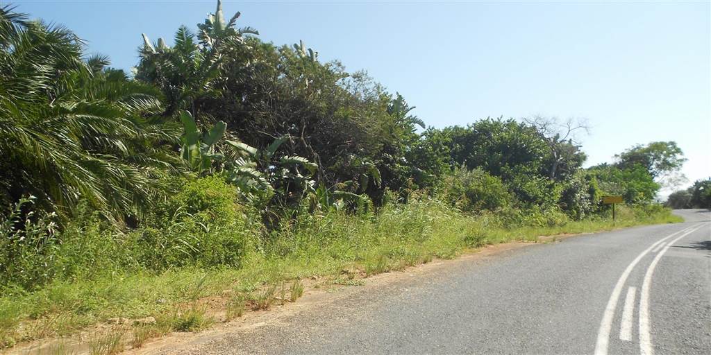 2732 m² Land available in Palm Beach photo number 2