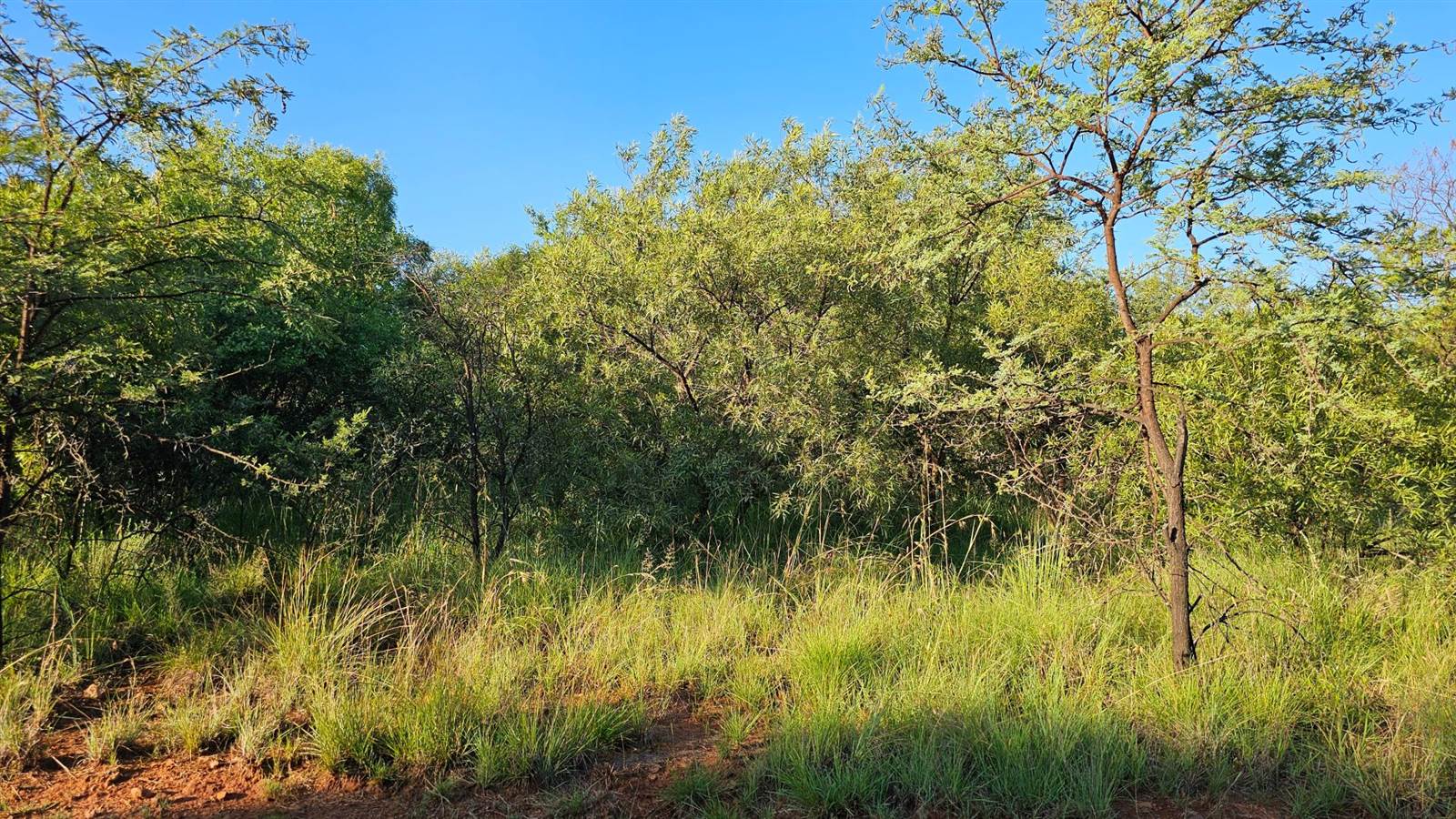 754 m² Land available in Leloko photo number 3