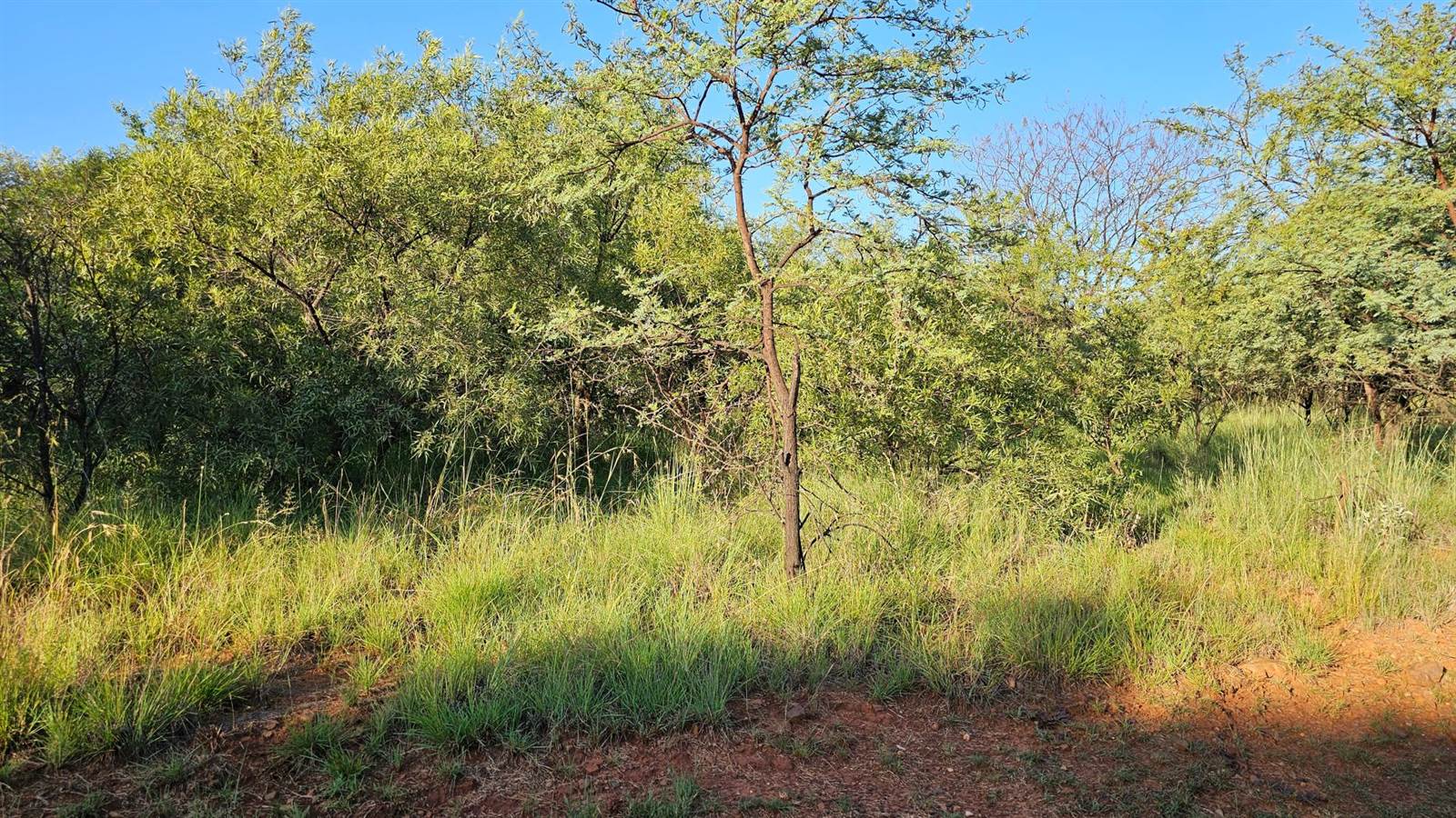 754 m² Land available in Leloko photo number 2
