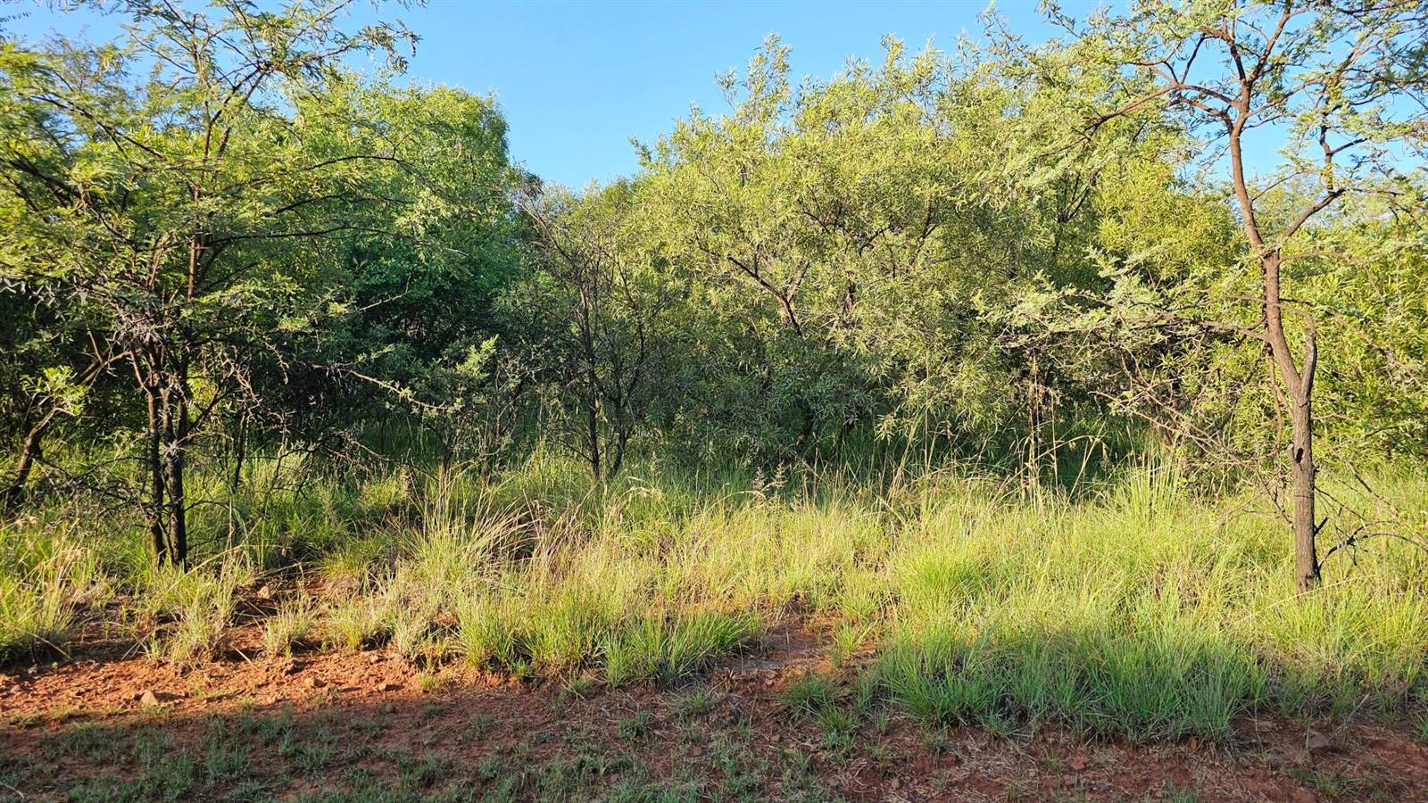 754 m² Land available in Leloko photo number 1