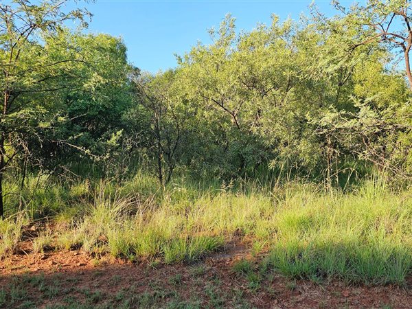 754 m² Land available in Leloko