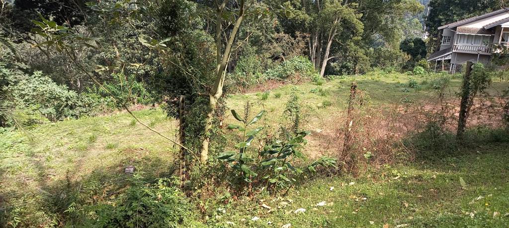 4977 m² Land available in Kloof photo number 8