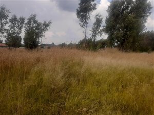 808 m² Land available in Aston Lake
