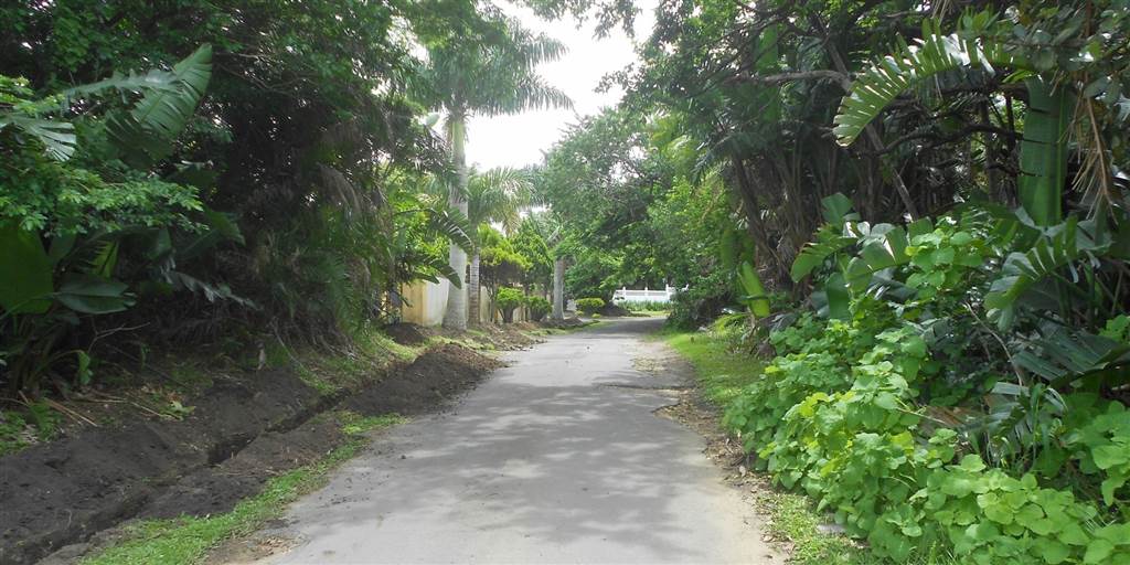 2093 m² Land available in Southbroom photo number 1