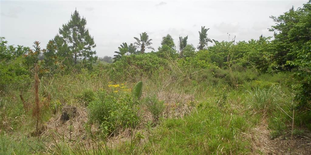 2093 m² Land available in Southbroom photo number 11