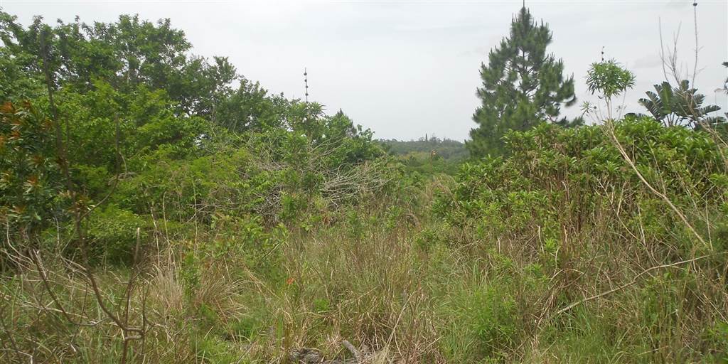 2093 m² Land available in Southbroom photo number 2