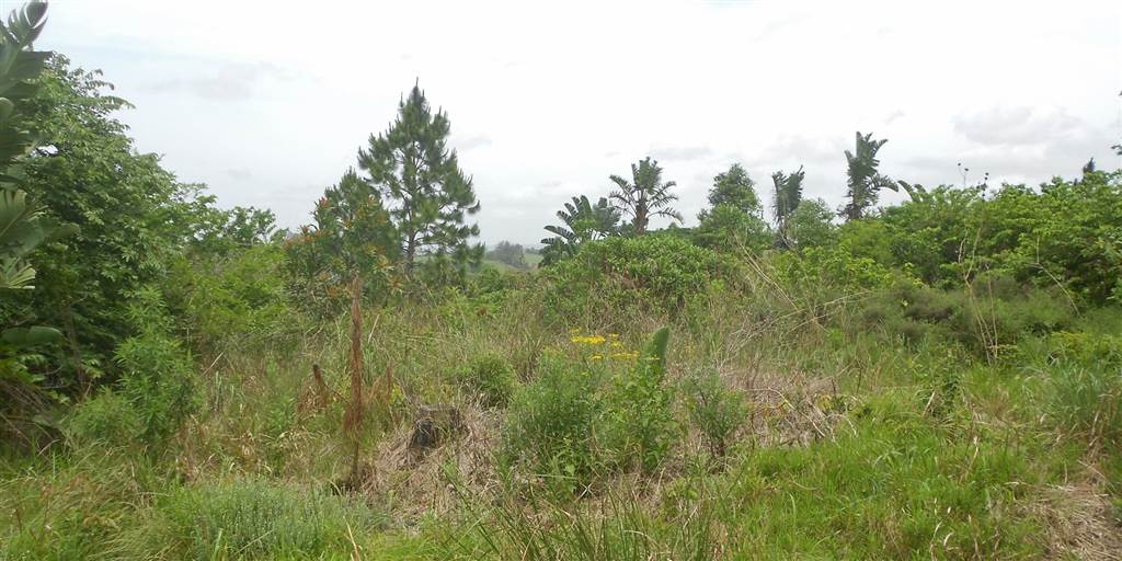 2093 m² Land available in Southbroom photo number 9