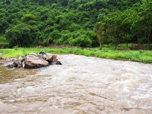 19 ha Farm in Shongweni