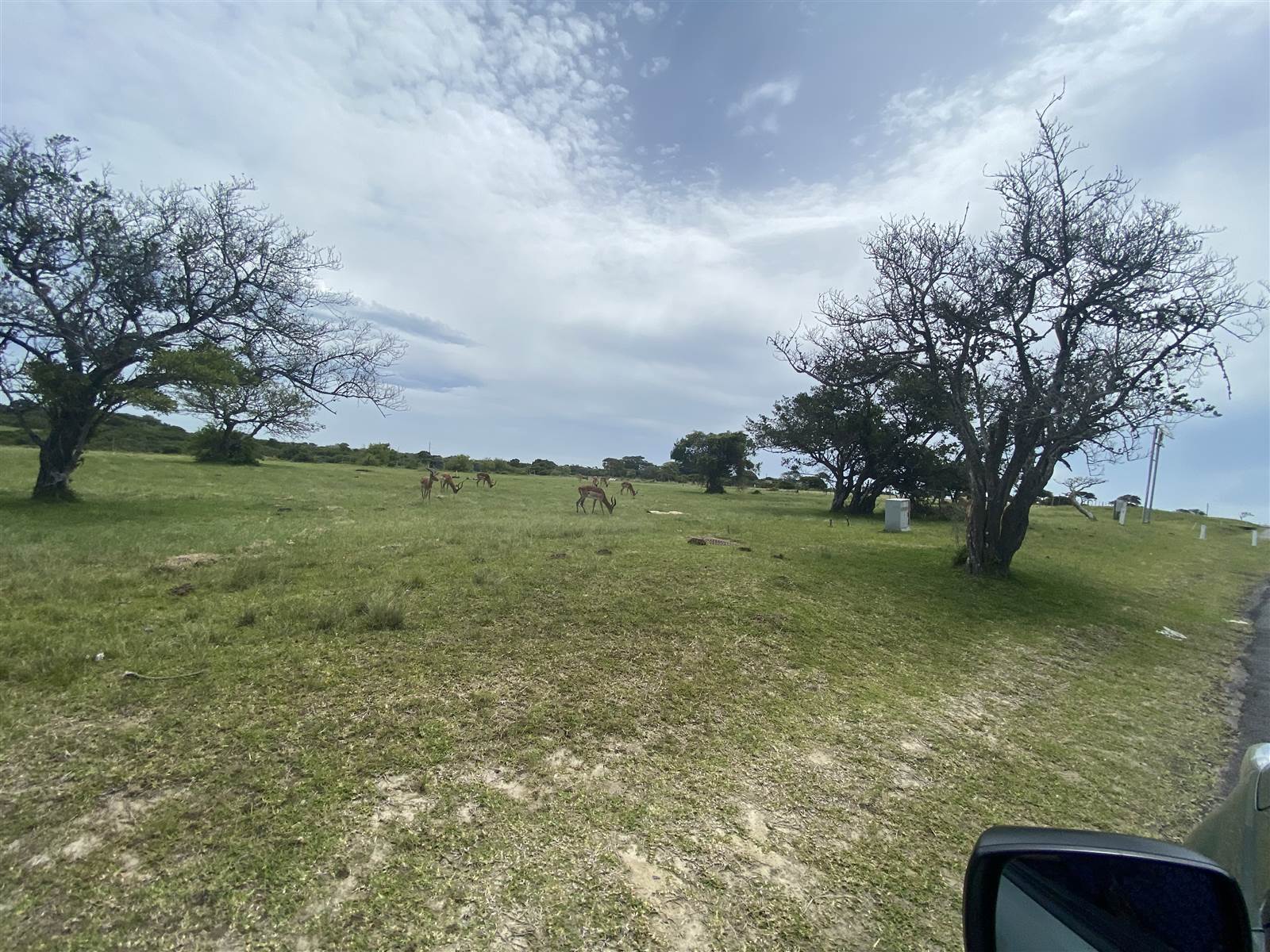 834 m² Land available in Cove Rock photo number 19