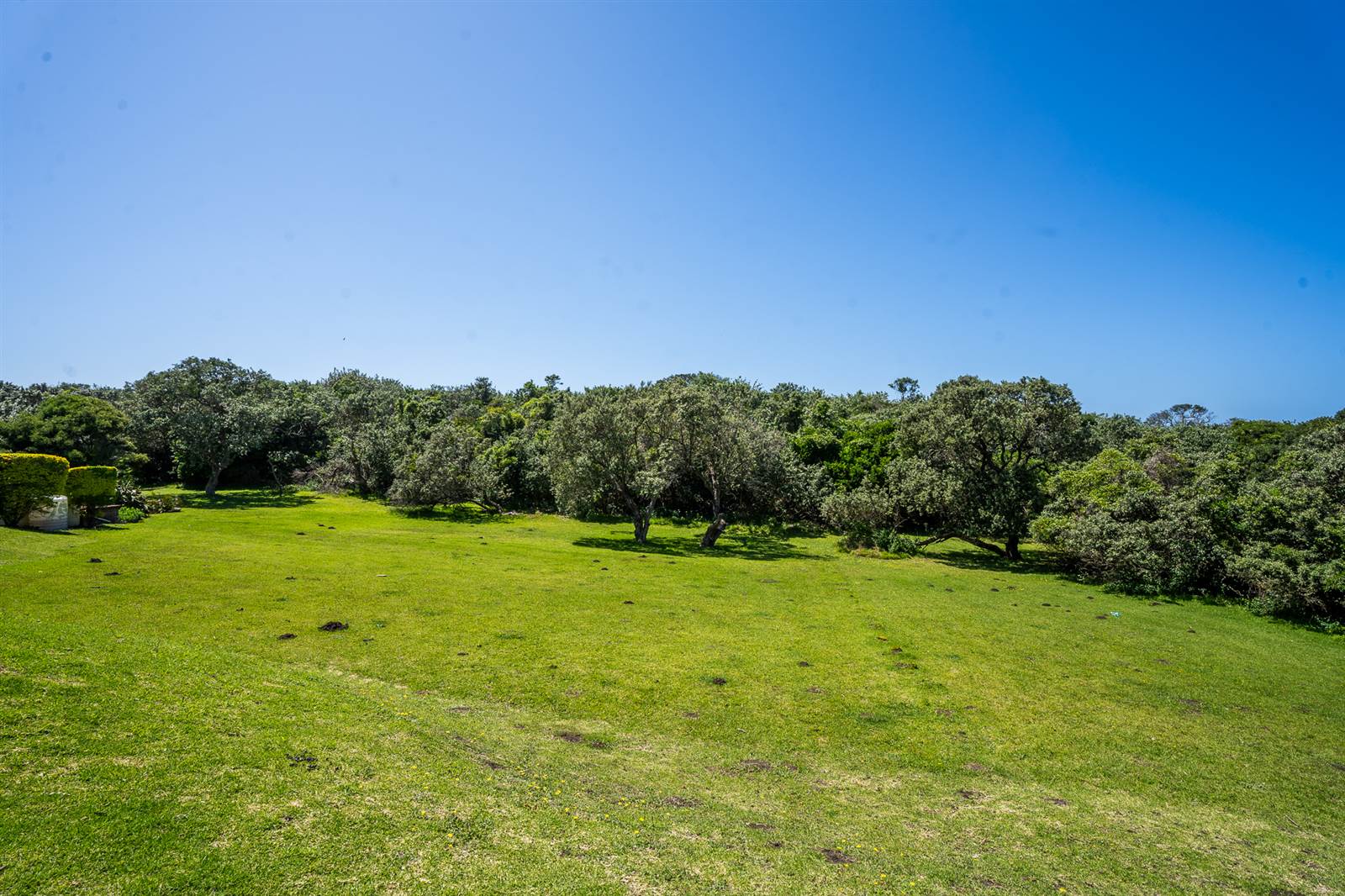 834 m² Land available in Cove Rock photo number 4